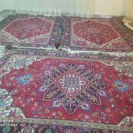 فوروش فرش دستباف هریس 6متری با نقشه تاجری