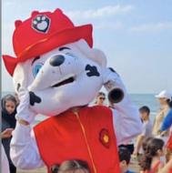 اجاره تنپوش عروسکی