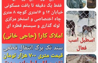 فروش زمین با درختان3 ساله فقط100میلیون پیش پرداخت