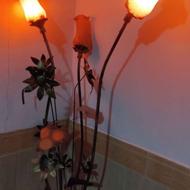 اباژورزیبا وسالم وبی عیب وایراد