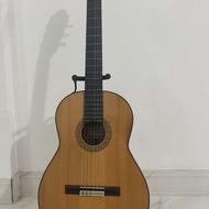 فروش گیتار استیو 6F