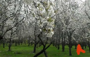 قطعه زمین دوبرردونبش منطقه آزادنوشهرکندلوس بامناسبترین قیمت