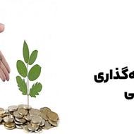 سرمایه گذاری