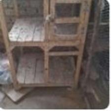 قفسه کبوتر جفت