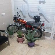 موتور کویر125 0 کیلومتر معوضه با پیکان