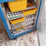 دستگاه جوجه کشی بلدرچین دماوند 420 تایی