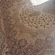 فرش 6 متری در حد نو تمیز