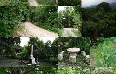 فروش باغ با موقعیت و امکان گردشگری ممتاز،کردکوی،استان گلستان