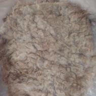 پشم گوسفند دستی وحلاج شده