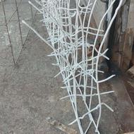 شاخ گوزنی نو