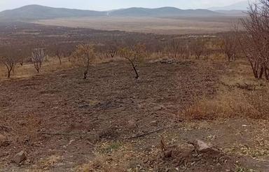 فروش زمین باغی