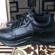 کتونی نو فروشی