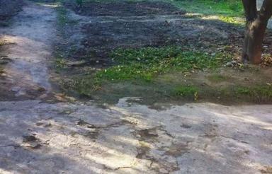 خانه ویلایی با حیاط بزرگ