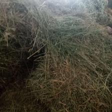 پرس یونجه انباری