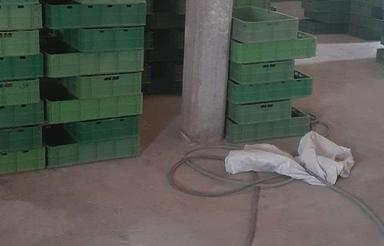 سوله جهت پرورش کرم میلورم