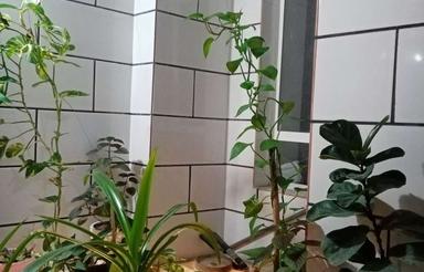 فروش آپارتمان133متر