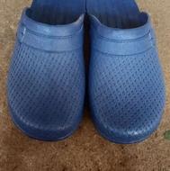 دمپایی استخری