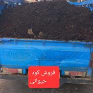 فروش کود حیوانی