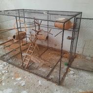 قفس پرنده بزرگ