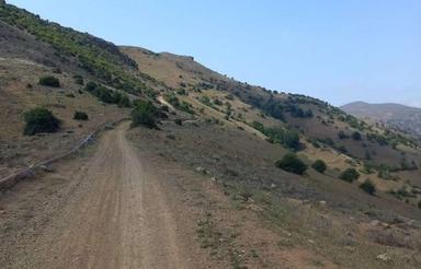 فروش زمین کشاورزی