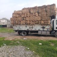 کاه گندم پرس