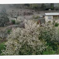 80 متری رزن بلده نور