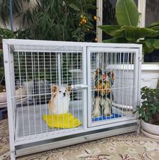قفس سگ گربه خرگوش کبوتر مرغ و خروس طوطی...