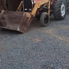 فرگوسن 285 مدل 84 بیلی