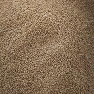 تخم یونجه بذری و اصلاح شده بیجاری شده