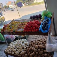 استند میوه چرخ دار دو طبقه