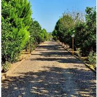 نیاز به کارگر ساده