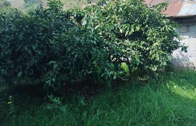 خونه ویلایی روستای چپی