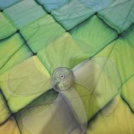 پره پنکه سالم