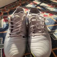 کفش چمنی استوک