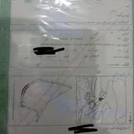 فروش زمین دیم کشاورزی