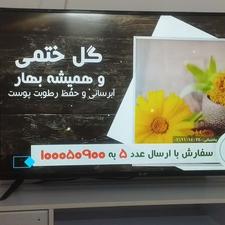 تلویزیون هوشمند،50،49اینچ بلست.