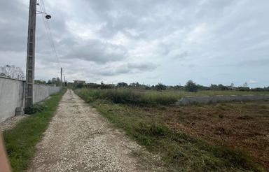 فروش زمین کشاورزی 1500 متر در سیاورز