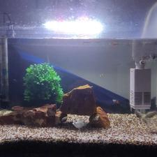 یک عدد آکواریوم با تمام تجهیزات معاوضه