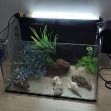 آکواریوم ماهیران