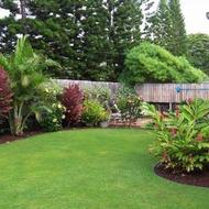 خدمات باغبانی