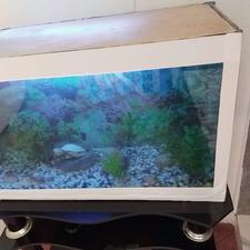 آکواریوم با تمام امکانات