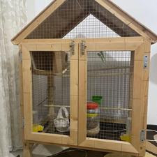 قفس عروس هلندی وانواع پرنده