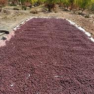 عناب شیرین فروشی