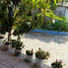 اجاره ویلا 200 متر در روستای یوسف اباد