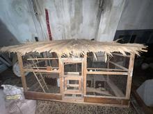 قفس پرنده شیک در شیپور