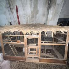 قفس پرنده شیک