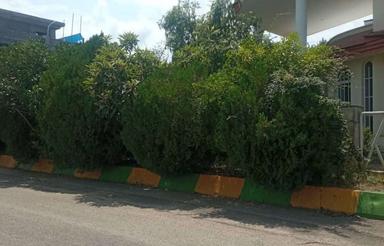 فروش ویلا 454 متر قدیمی شهرک نمک آبرود