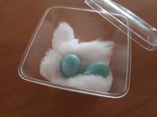 تخم آبی مینا بدون نطفه در شیپور