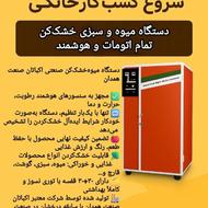 دستگاه تولید میوه و سبزی خشک تمام اتومات