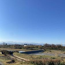 نیازمند شاگرد صافکار